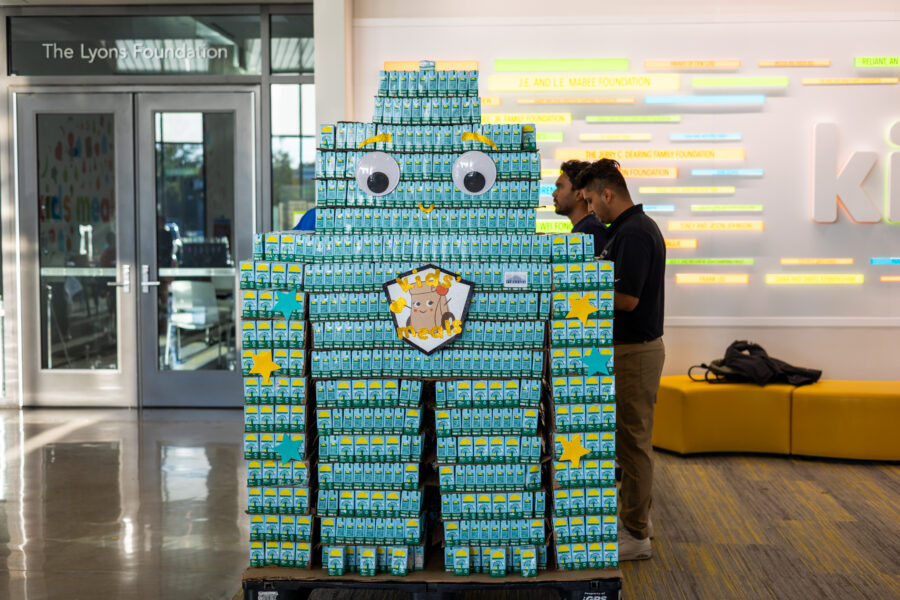 Pinnacle Structural Engineers - Robot